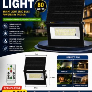 solar light with panel 80 watts